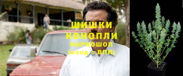 индика Липки