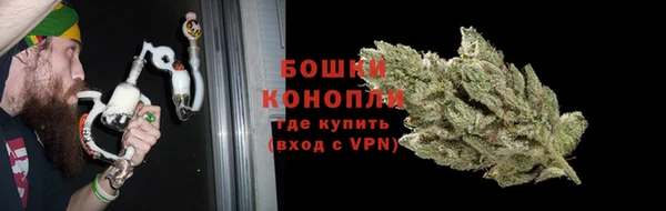 индика Липки