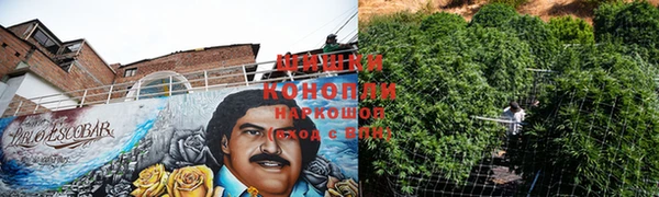 индика Липки