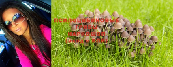 прущая мука Лиски