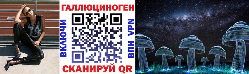 KRAKEN ТОР  Черемхово  Галлюциногенные грибы прущие грибы 